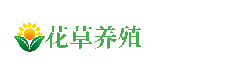 山东省枣庄市市中区了贩饼粕有限合伙企业